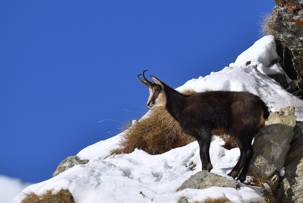 DS5_3817.jpg