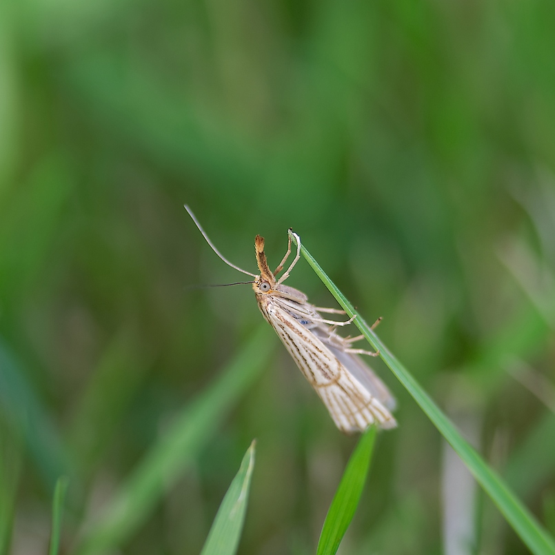DSC_0262_DxO.jpg
