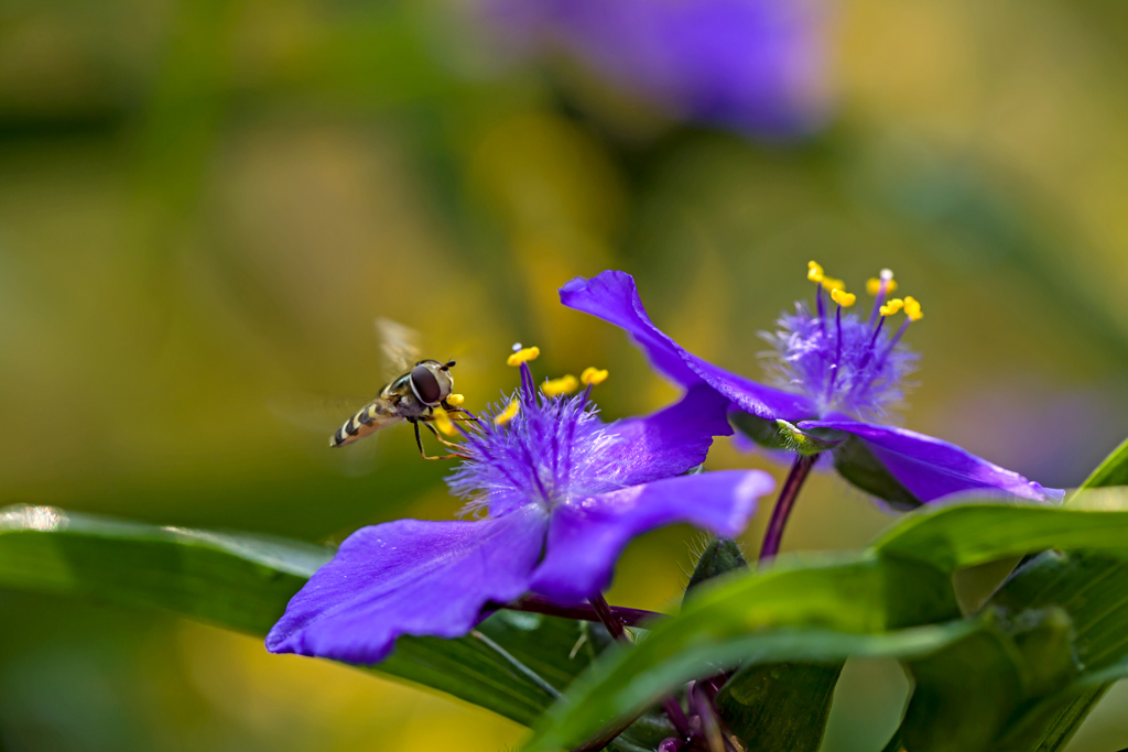 _98A7626-IN.jpg