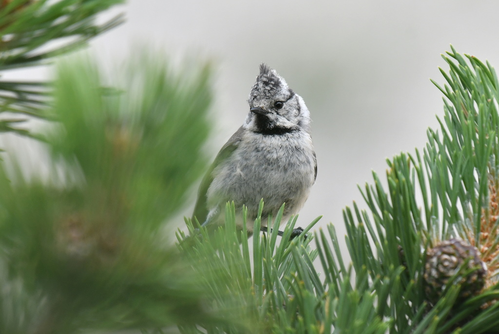 DSC_0256.JPG