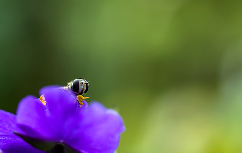 _98A7610-IN-2.jpg