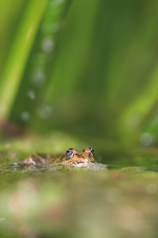 DSC_5300.jpg