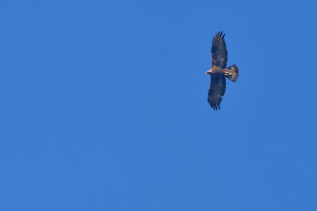 DSC_0567_DxO.jpg