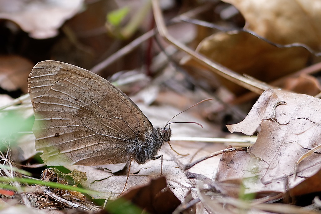 DSC_1607_DxO.jpg