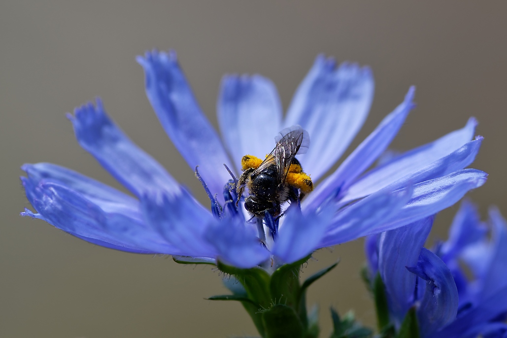 DSC_1780_DxO.jpg