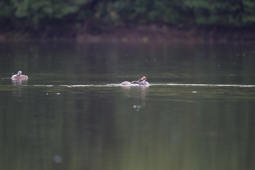 IMG_6405 raw.jpg