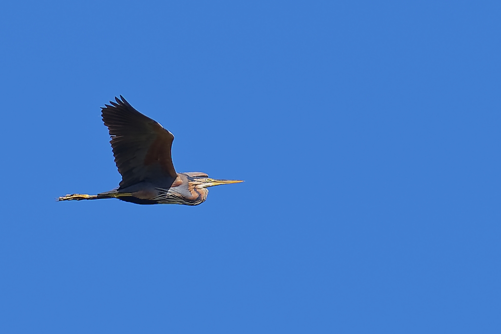 DSC_6577_DxO.jpg