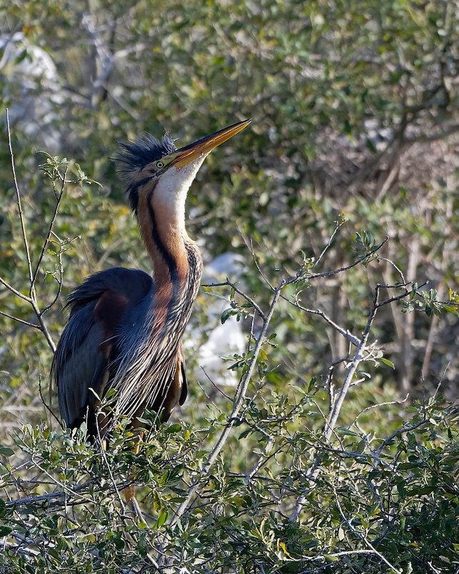 DSC_1001_DxO.jpg