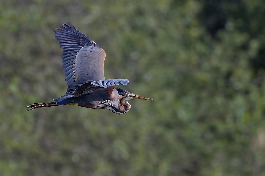 DSC_1044_DxO.jpg