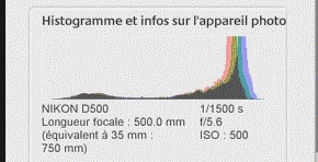 Sans titre (2).jpg
