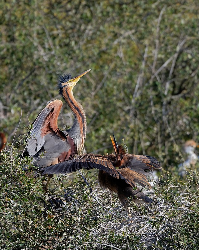 DSC_1064_DxO.jpg
