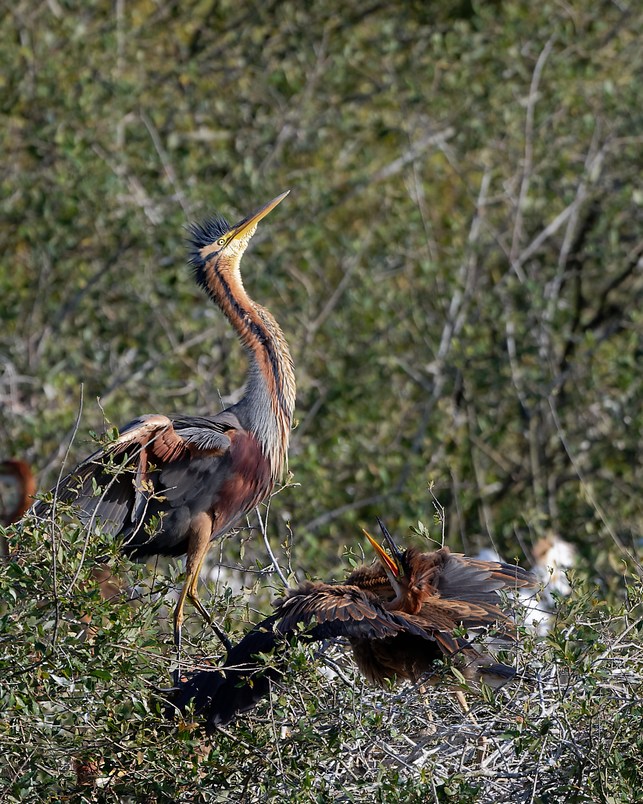 DSC_1071_DxO.jpg