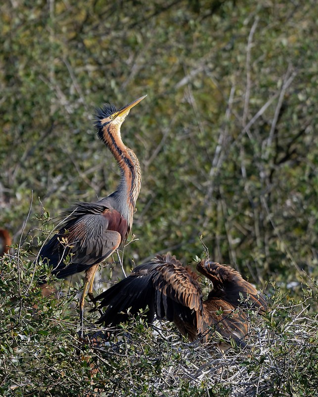 DSC_1073_DxO.jpg
