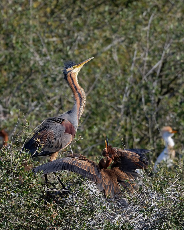 DSC_1075_DxO.jpg