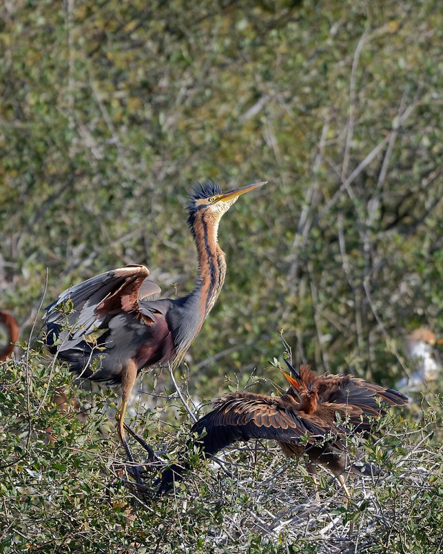 DSC_1077_DxO.jpg