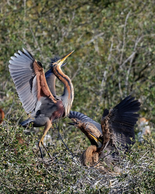 DSC_1080_DxO.jpg