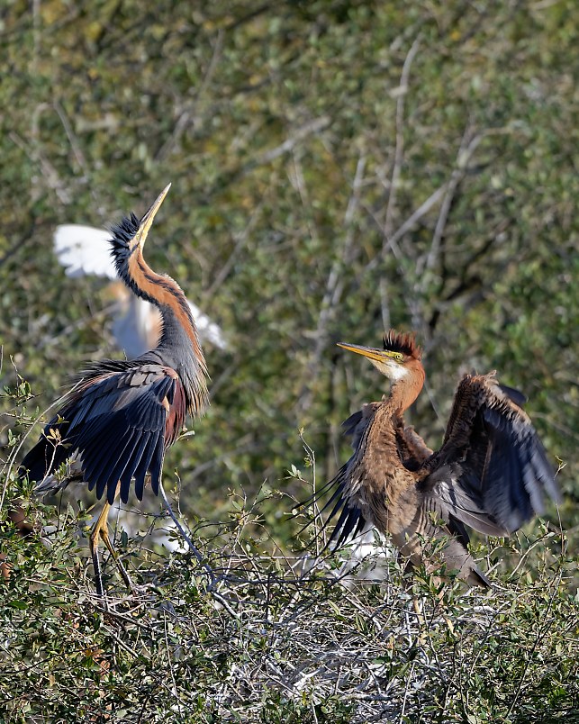 DSC_1083_DxO.jpg