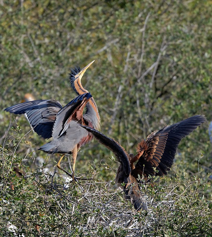 DSC_1084_DxO.jpg