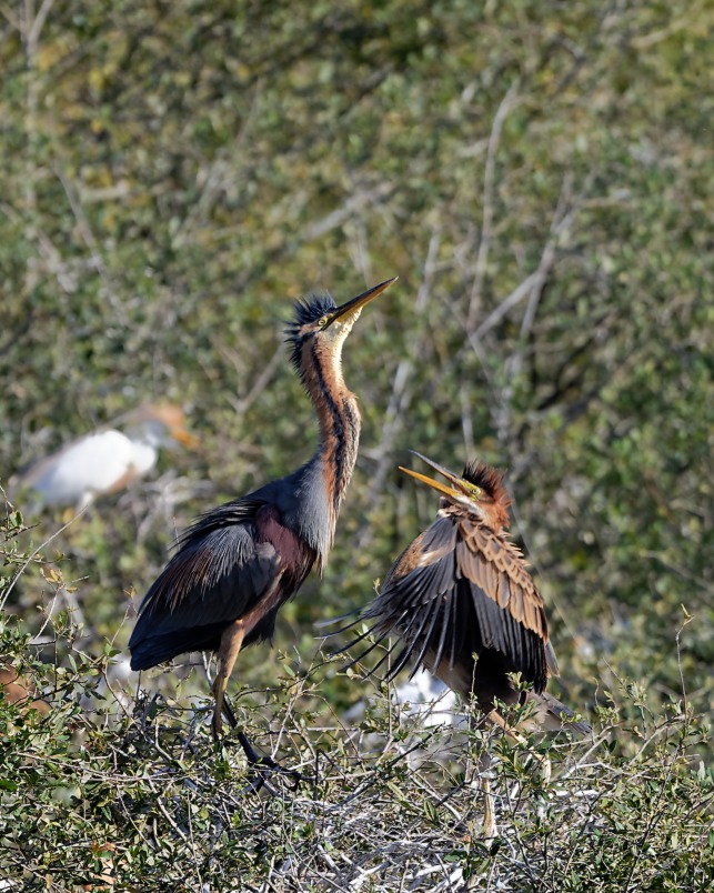 DSC_1086_DxO.jpg