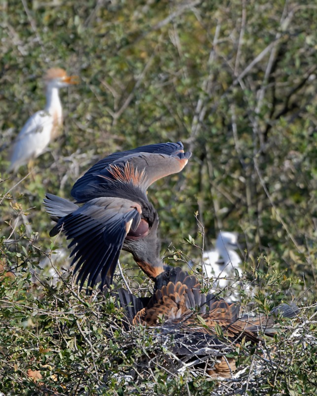 DSC_1087_DxO.jpg