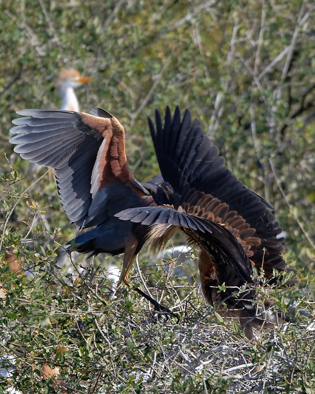 DSC_1089_DxO.jpg
