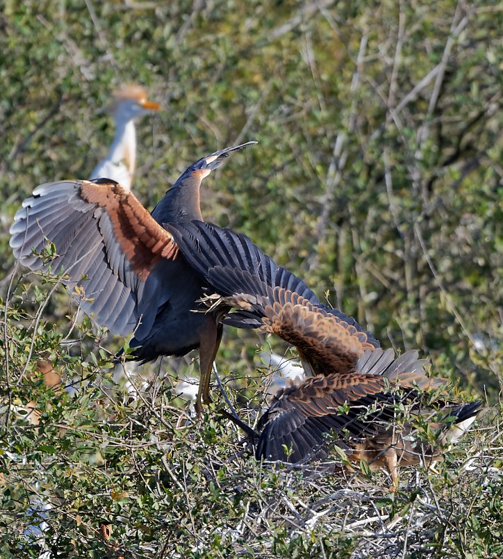 DSC_1092_DxO.jpg