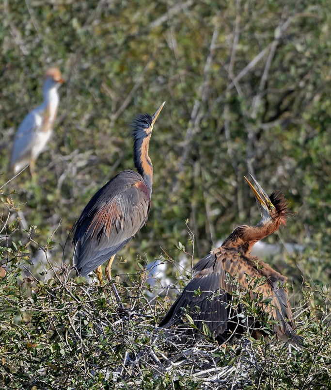 DSC_1095_DxO.jpg