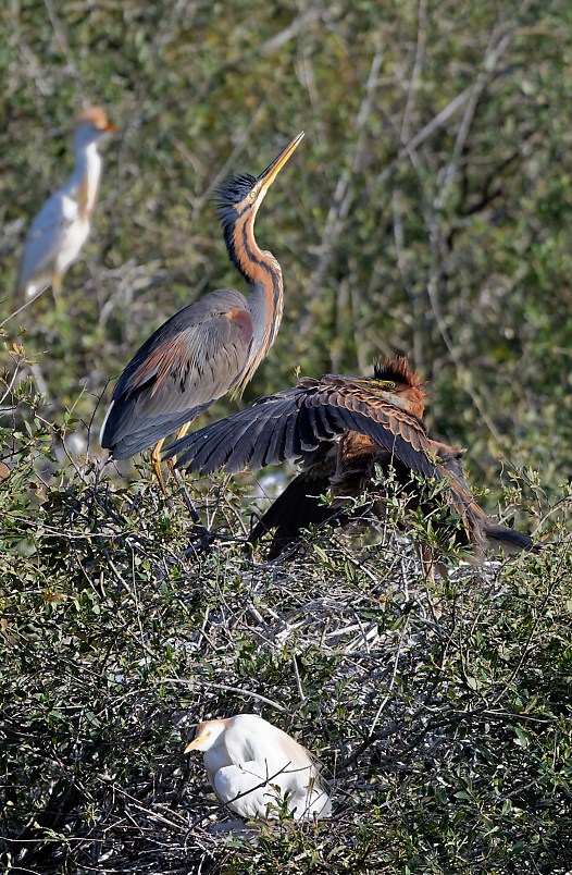 DSC_1096_DxO-1.jpg