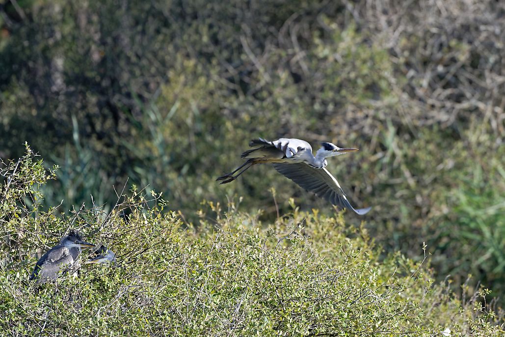 DSC_1115_DxO.jpg