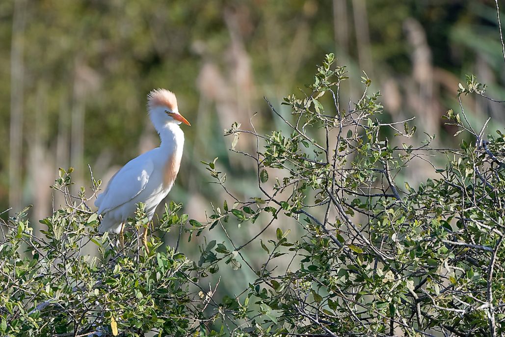DSC_1209_DxO.jpg