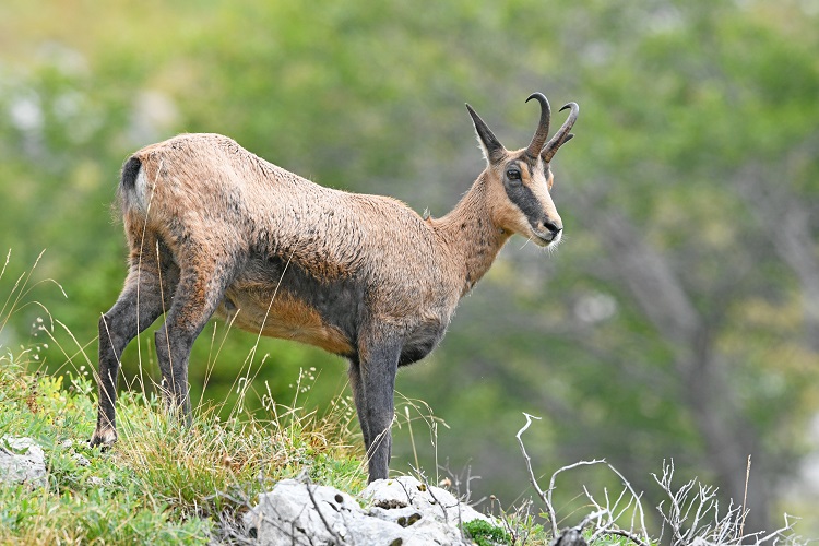 _DSC2495 - Copie - Copie.jpg