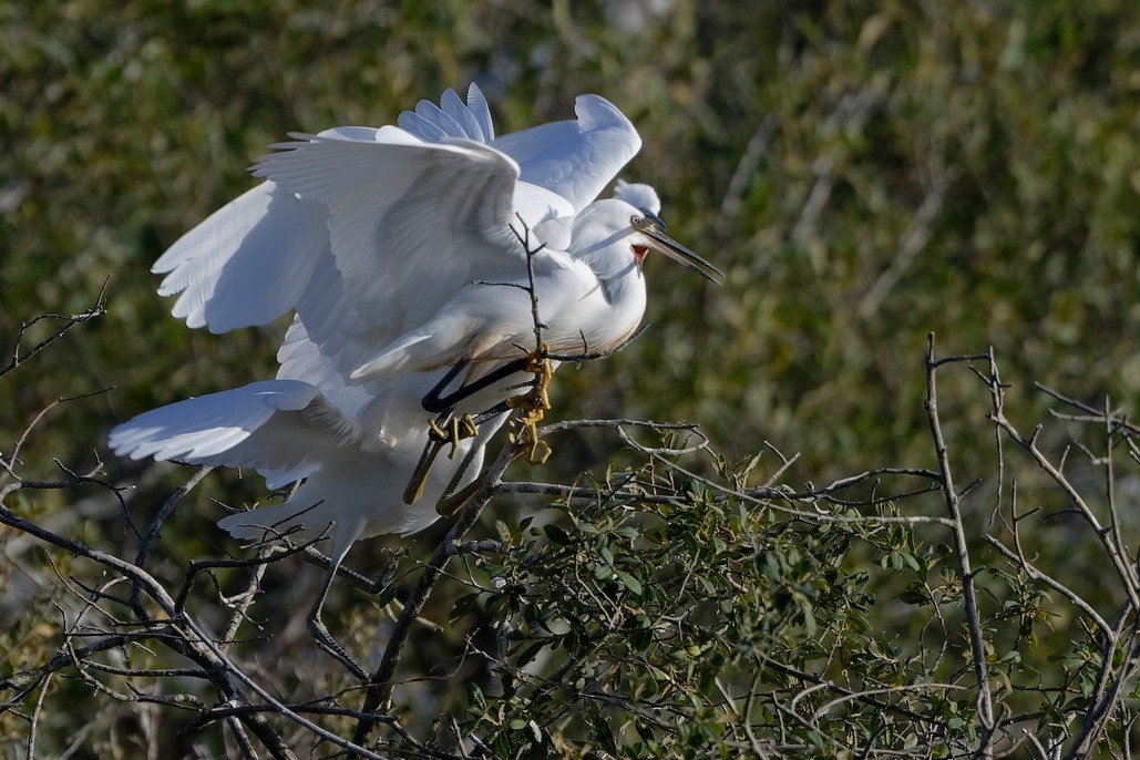 DSC_1227_DxO.jpg