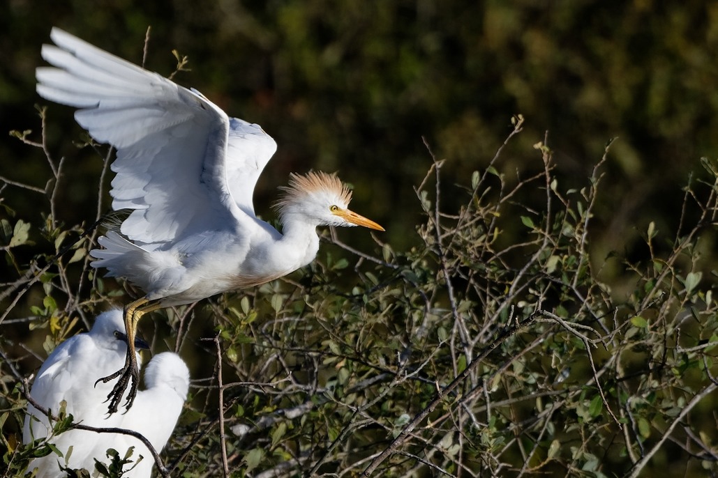 DSC_1332_DxO.jpg