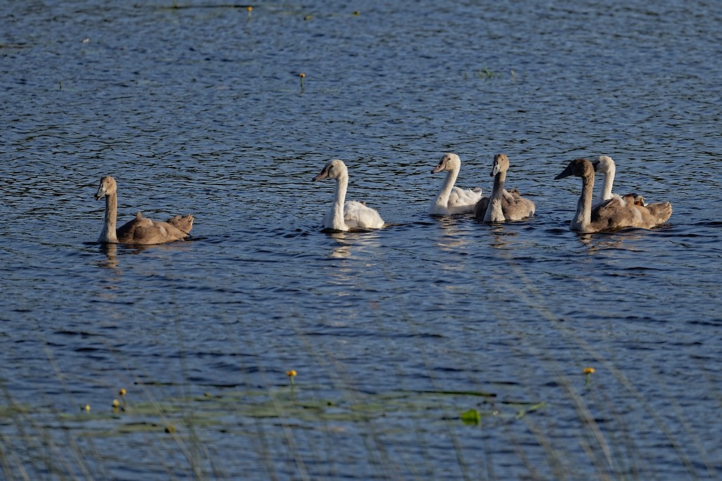 DSC_1342_DxO.jpg