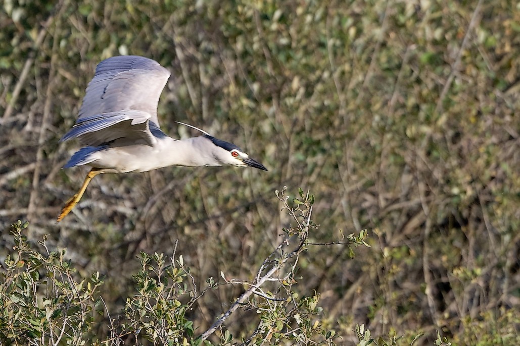 DSC_1353_DxO.jpg