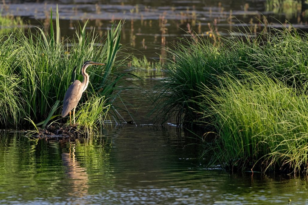 DSC_1391_DxO.jpg
