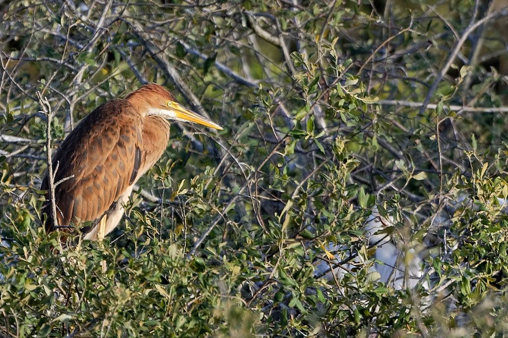 DSC_1406_DxO.jpg