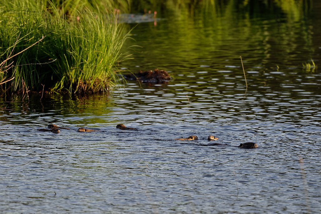 DSC_1430_DxO.jpg