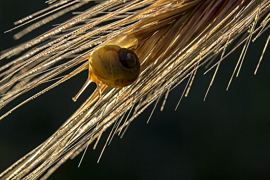 _98A5705-IN.jpg