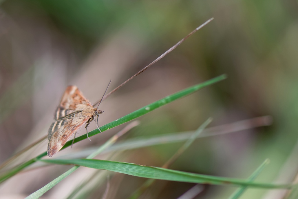 DSC_2053_DxO.jpg