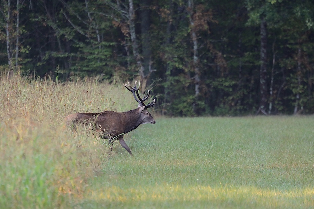 IMG_9572 ter 1024.jpg