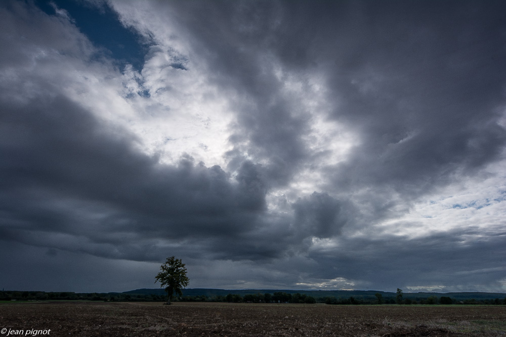 paysage de plaine 09 2020-8010.jpg