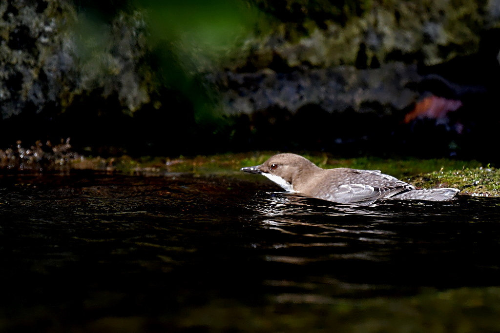 DSC_6193.JPG