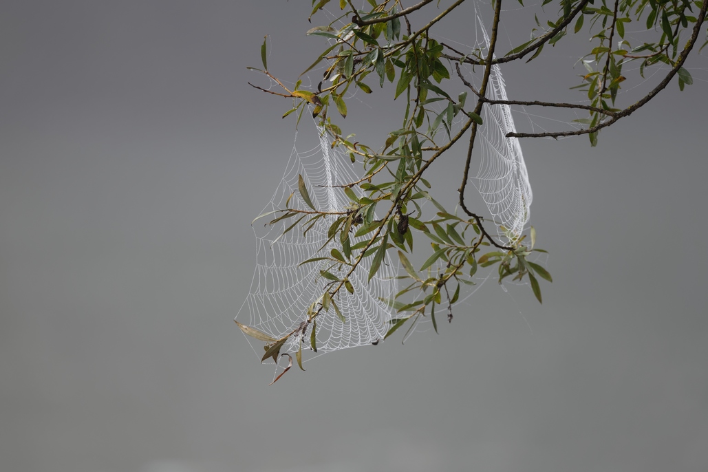 DSC_2261_DxO.jpg