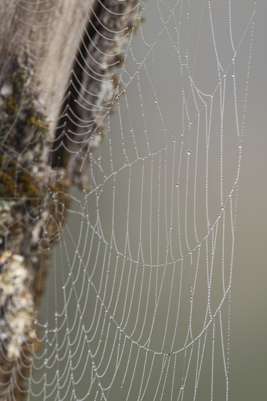 DSC_2269_DxO.jpg