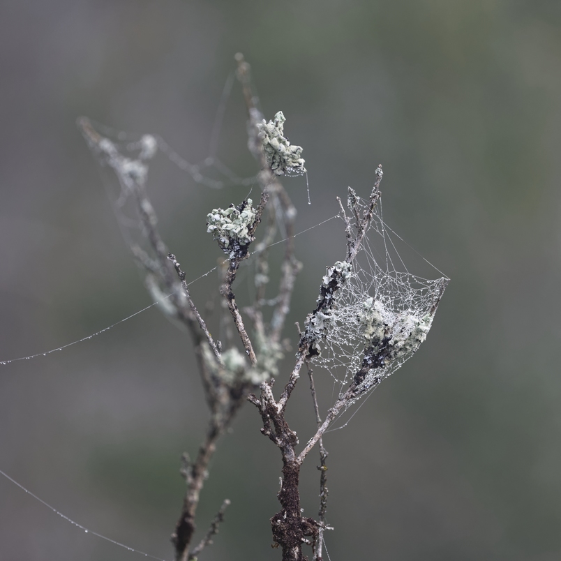 DSC_2273_DxO.jpg