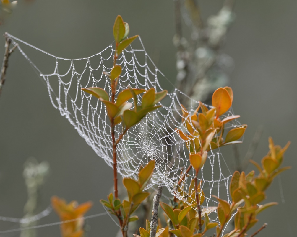 DSC_2275_DxO.jpg