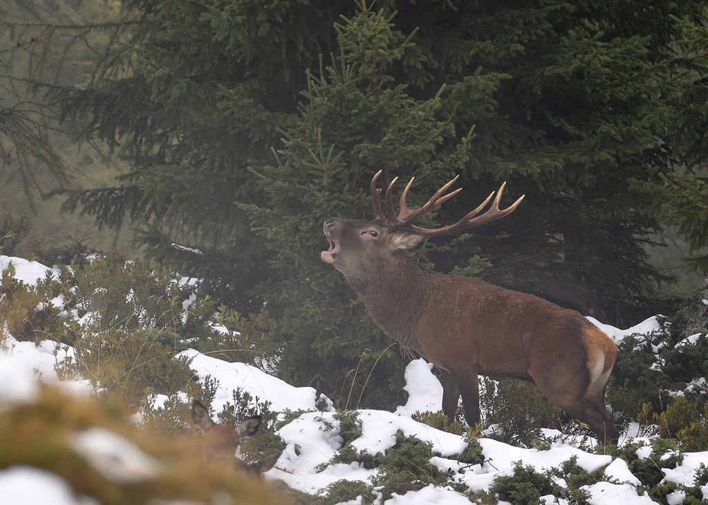 DS5_1605.jpg