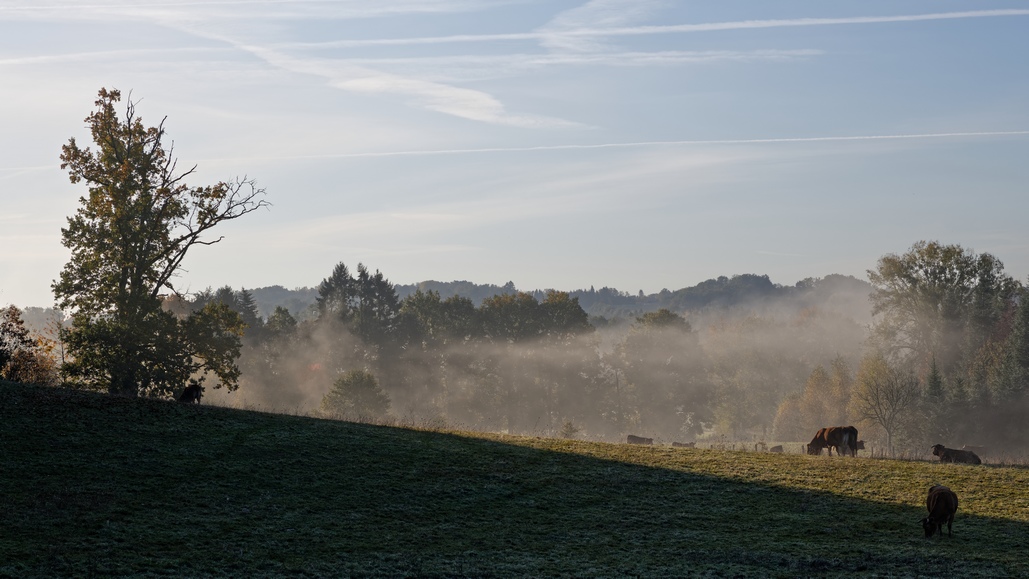 DSC_2660_DxO.jpg