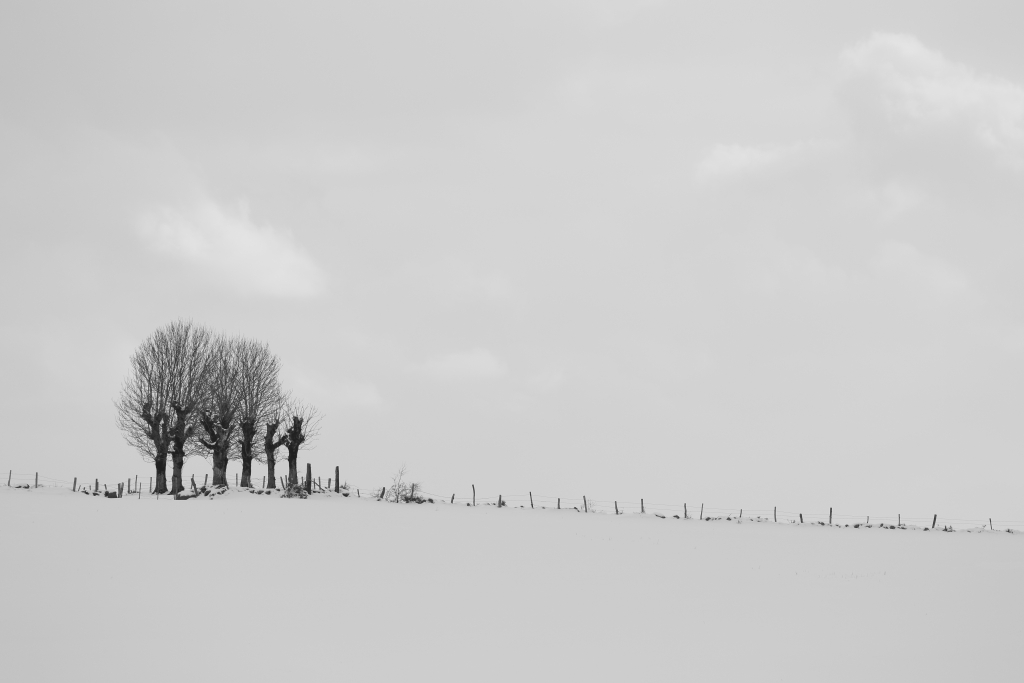 Paysage de neige 3.JPG